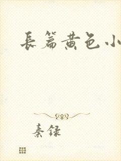 长篇黄色小说
