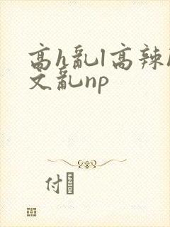 高h乱l高辣h文乱np封面