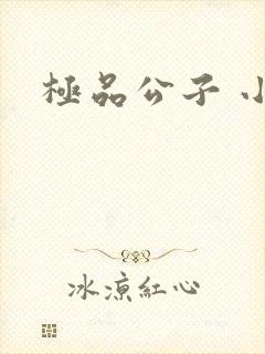 极品公子 小说