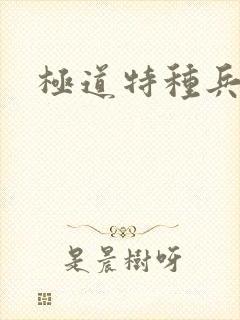 极道特种兵
