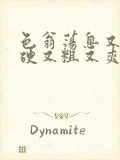 色翁荡息又大又硬又粗又爽
