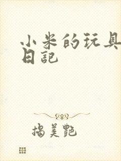 小米的玩具羞辱日记