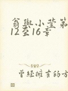 翁与小莹第十部12至16章