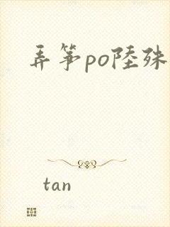 弄筝po陆殊词