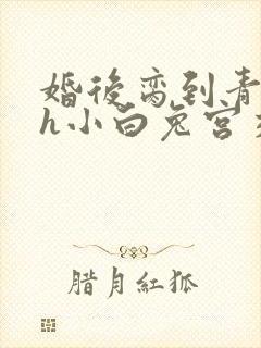 婚后脔到青梅哭h小白兔宫交h
