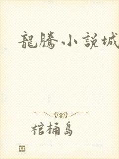 龙腾小说城