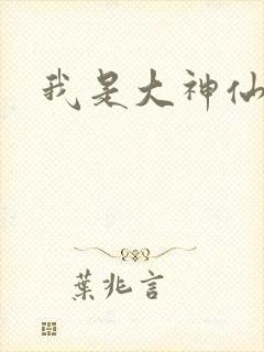 我是大神仙小说封面