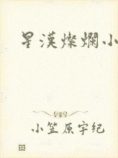 星汉灿烂小说封面
