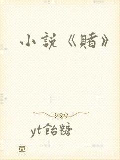 小说《赌》