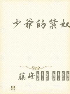少爷的禁奴