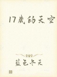 17岁的天空