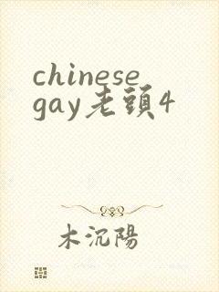 chinesegay老头4