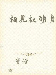 相见故明月封面