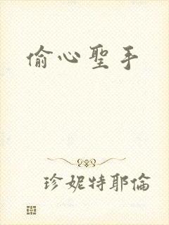 偷心圣手