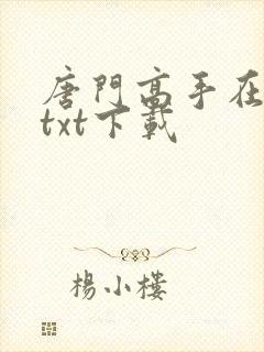 唐门高手在异世txt下载封面