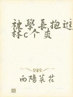 被学长抱进小树林c个爽封面