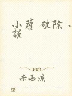 小萝 破除 小说封面