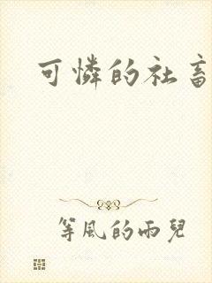 可怜的社畜小说
