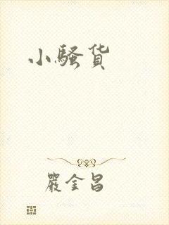 小骚货