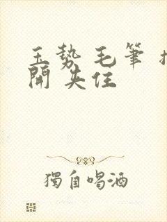 玉势 毛笔 撑开 夹住