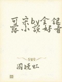 可宋by金银花露小说好看吗