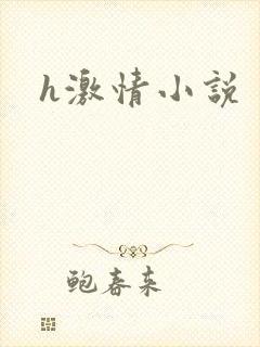 h激情小说