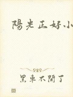 阳光正好小说封面