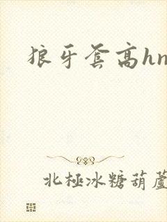 狼牙套高hnp