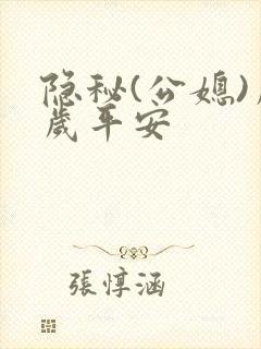 隐秘(公媳)岁岁平安封面