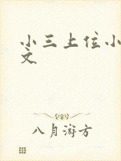 小三上位小说全文封面