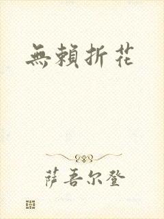 无赖折花封面