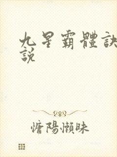 九星霸体诀 小说