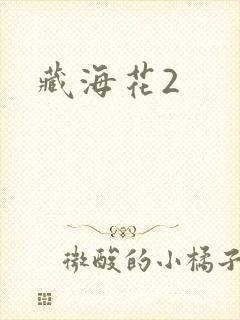 藏海花2