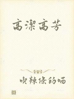 高洁高芳封面