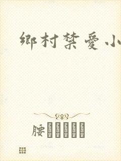 乡村禁爱小说