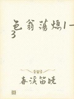 色翁荡熄1—13封面