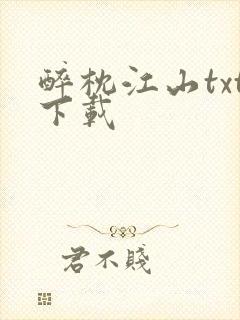醉枕江山txt下载封面