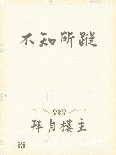 不知所踪封面