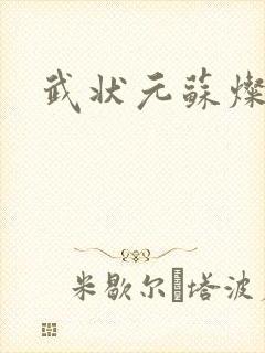 武状元苏灿