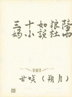 三十如狼陪读妈妈小说杜雨馨封面