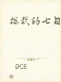 总裁的七日恋人