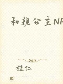 和亲公主NPC