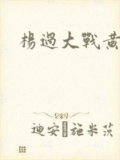 杨过大战黄蓉