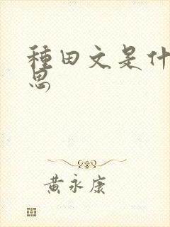种田文是什么意思