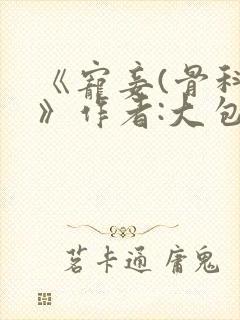 《宠妾(骨科)》作者:大包子