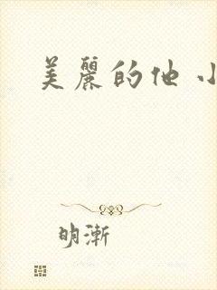 美丽的他 小说封面