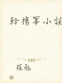 干杨幂小说