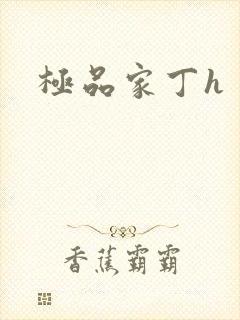 极品家丁h