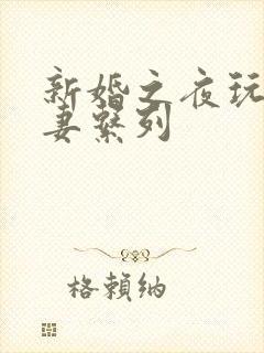 新婚之夜玩弄人妻系列封面