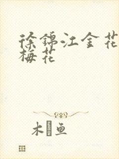 徐锦江金花瓶楷梅花封面